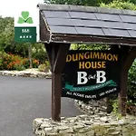 Dungimmon House Guest house 4*