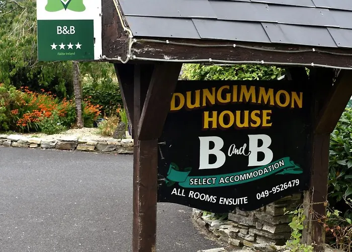 Dungimmon House Pensionat 4*